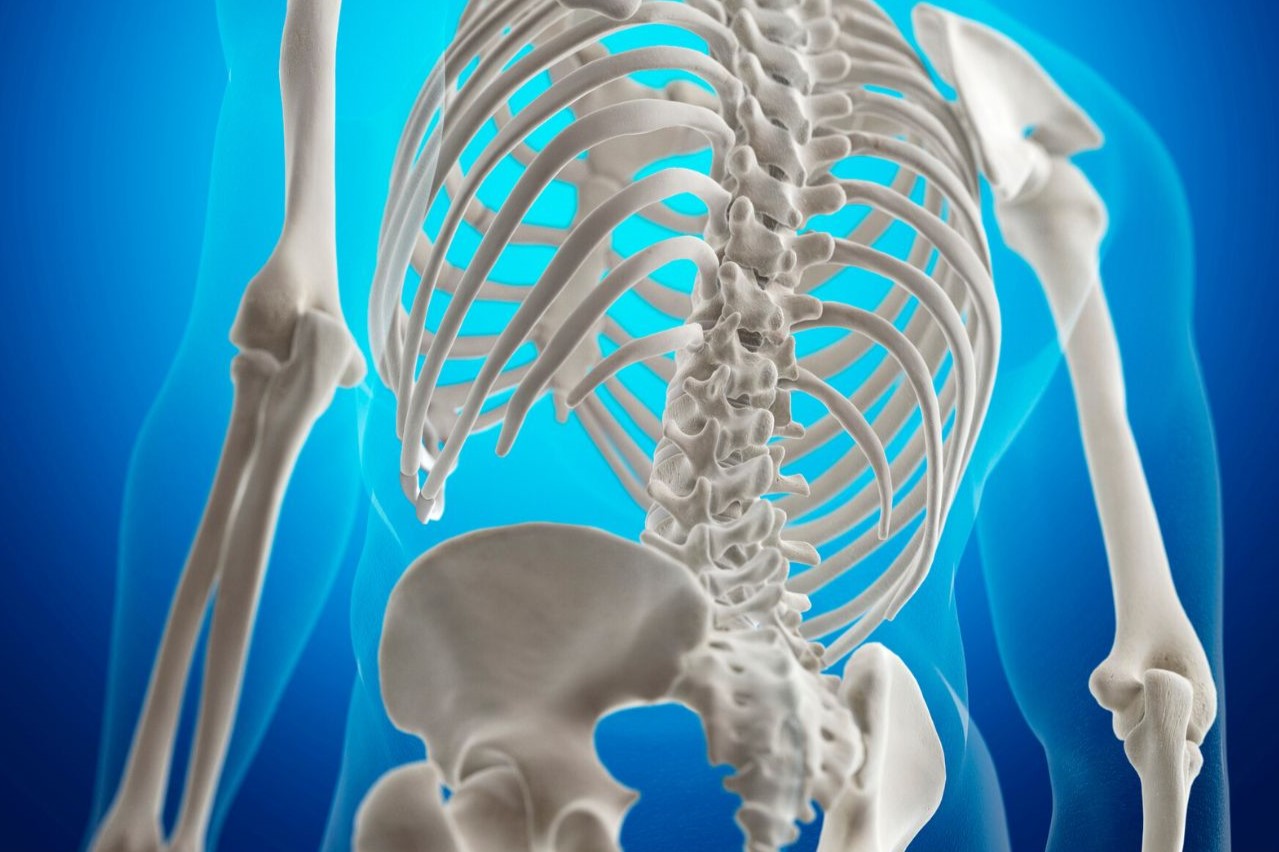 Ergonomically design contour surface